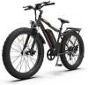 Best Electric Bikes for Heavy Riders