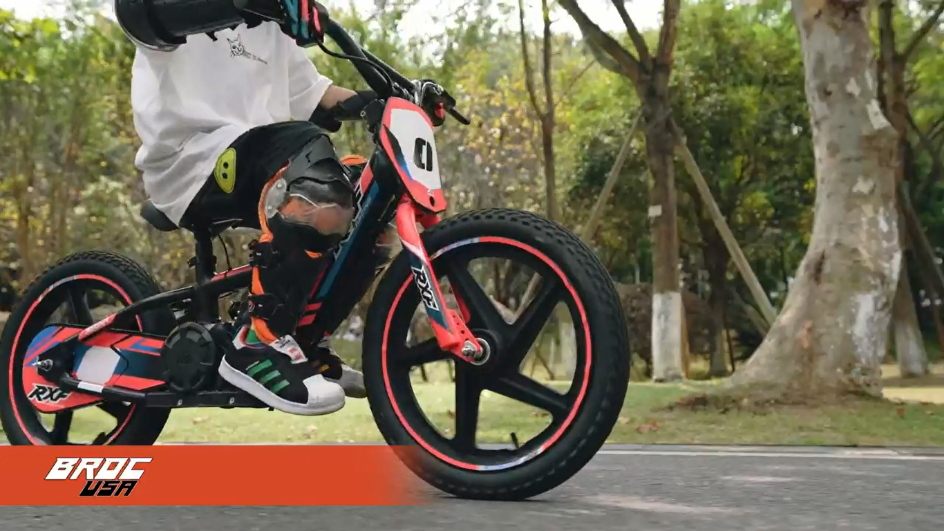 BROCUSA Electric Bike