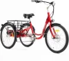 DWMEIGI Adult Electric Tricycles 3 Wheel