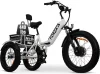 MALISA Electric Trike