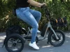 Powerful RadTrike Electric Bike