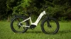 HAOQI Eagle Electric Bike Review