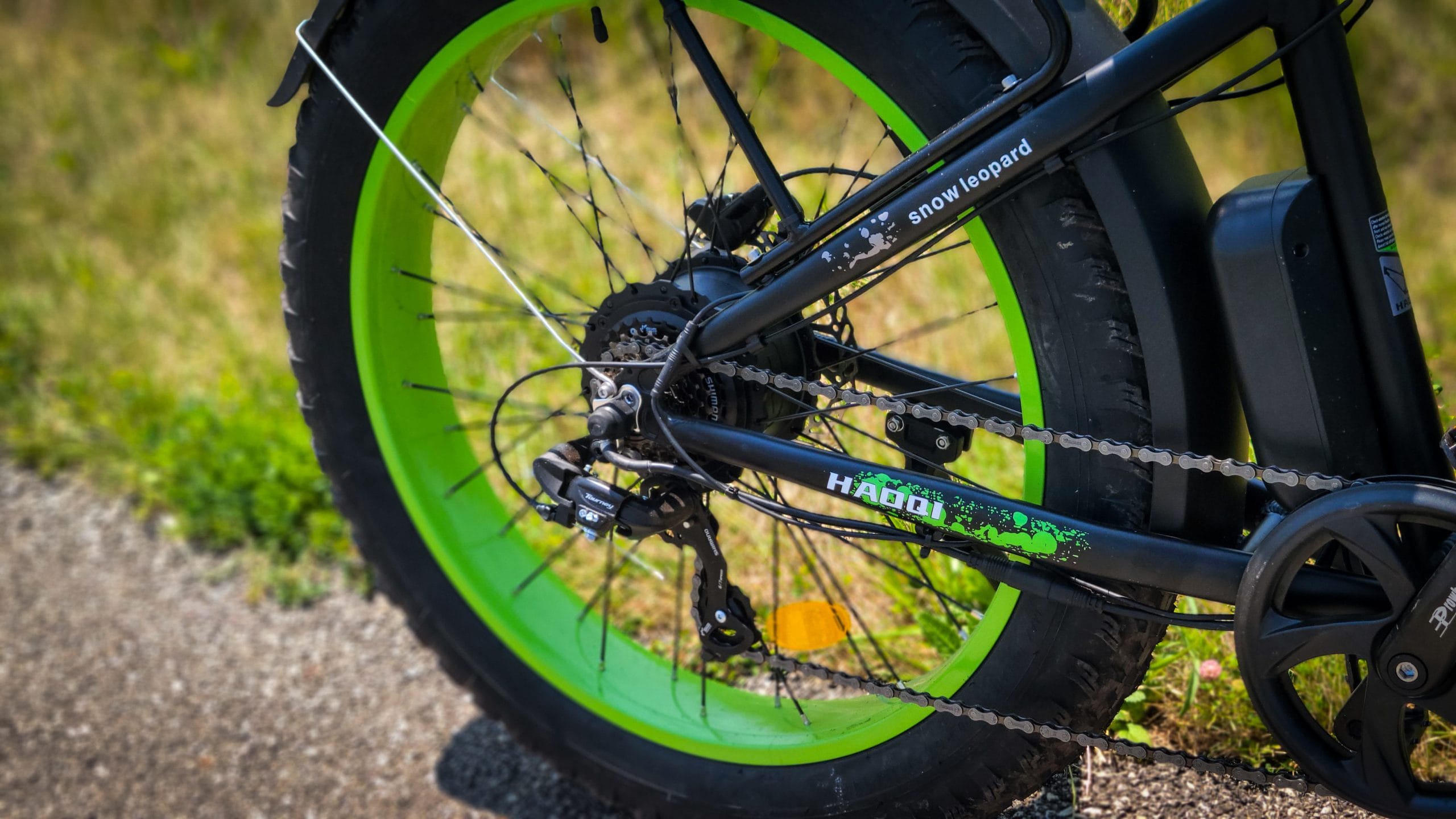 Battery of HAOQI Green Leopard Pro Electric Bike