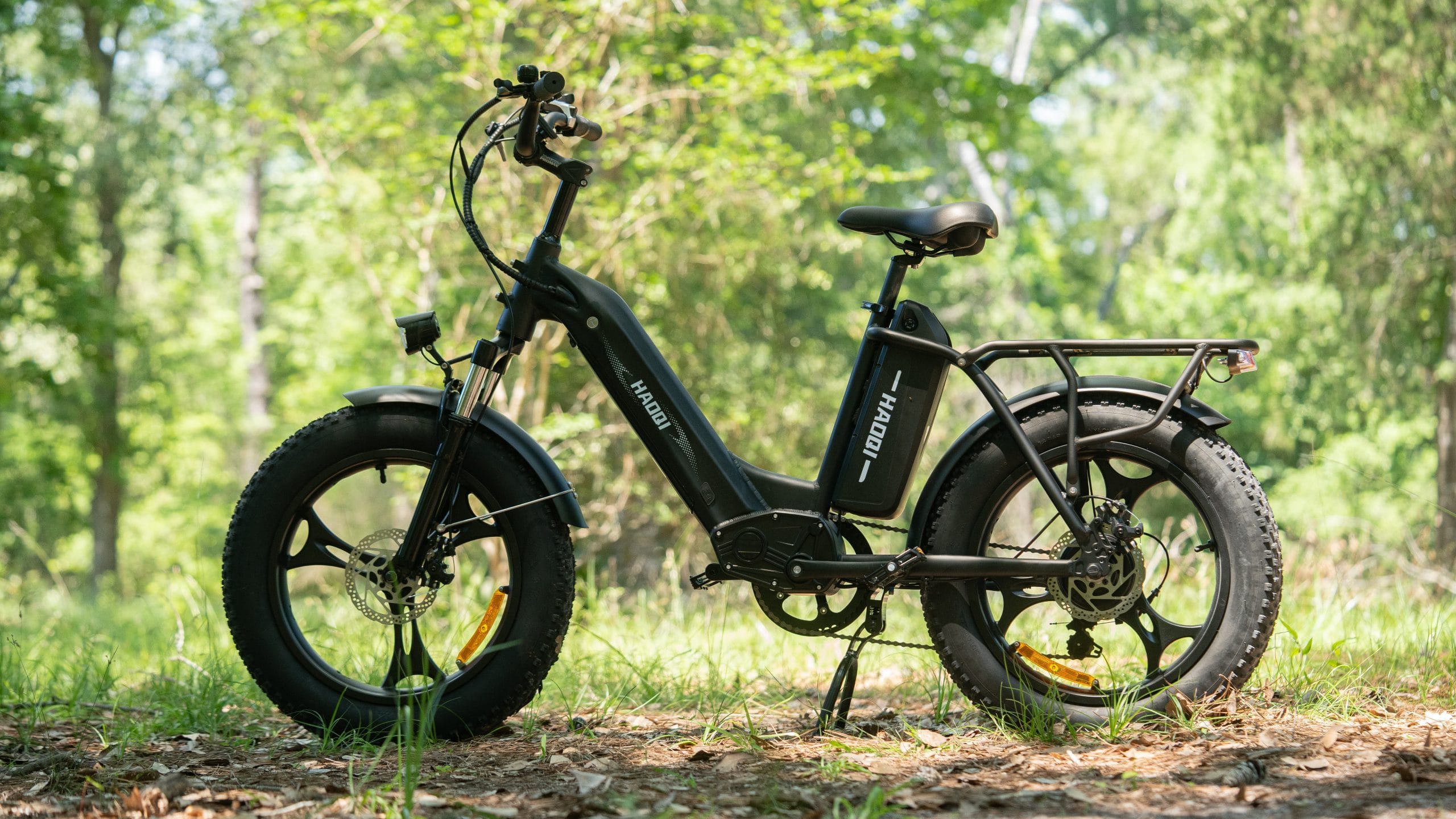 HAOQI Antelope 500W Cargo Electric Bike