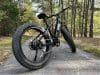 TST Defender Electric Bike