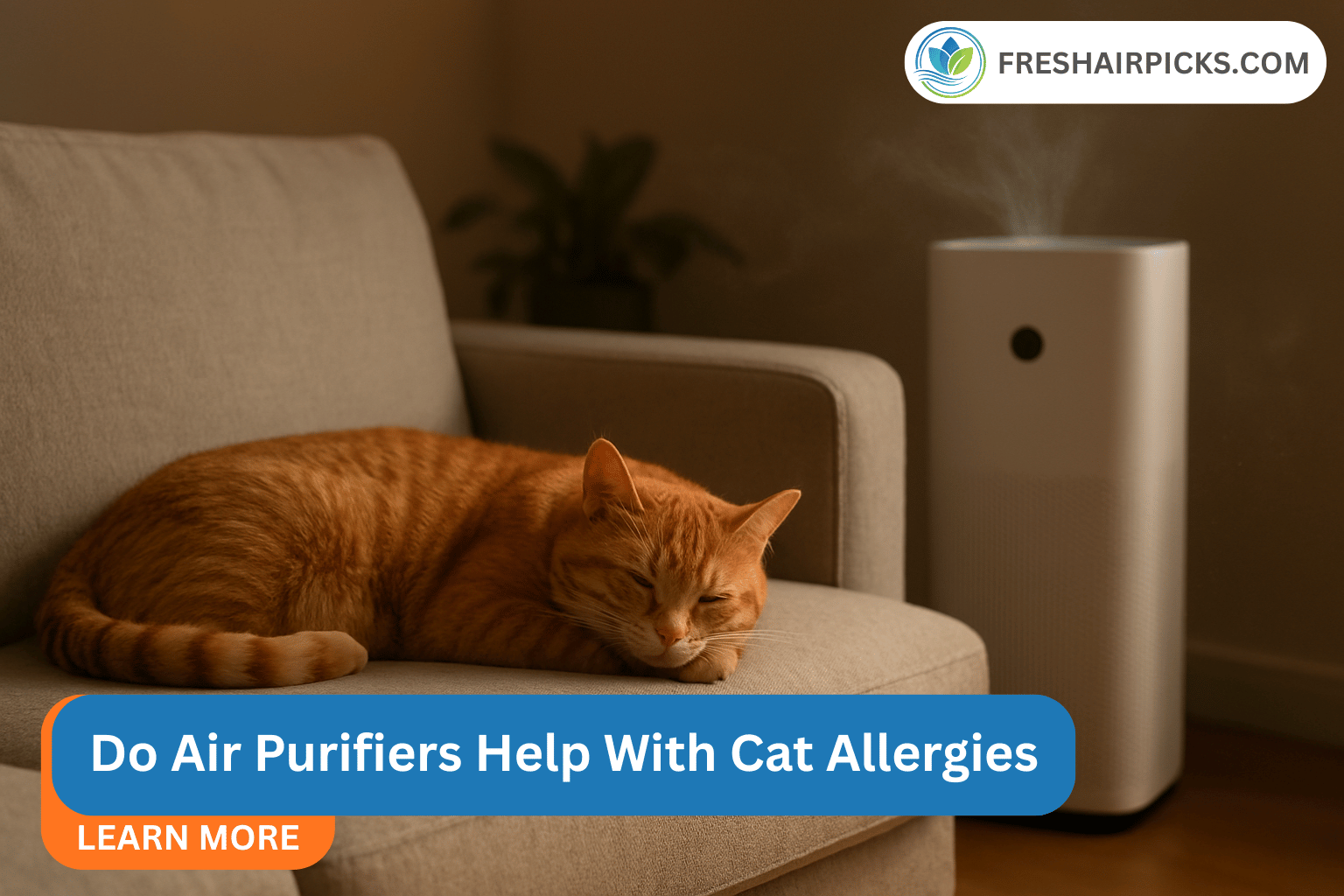 Do Air Purifiers Help With Cat Allergies? A Science-Backed Guide