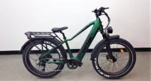 Rattan Pathfinder ST Electric Bike Review 2024
